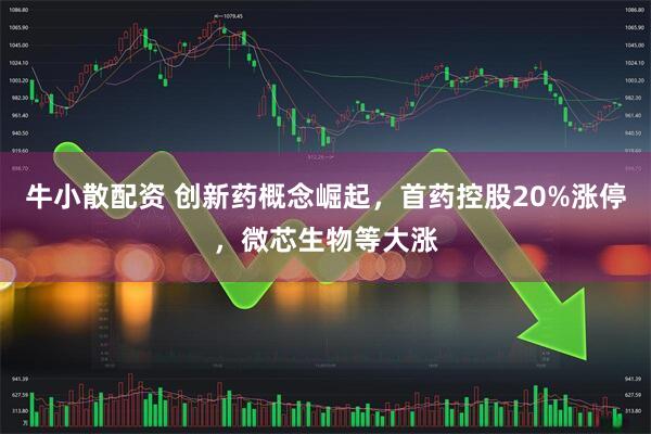 牛小散配资 创新药概念崛起，首药控股20%涨停，微芯生物等大涨