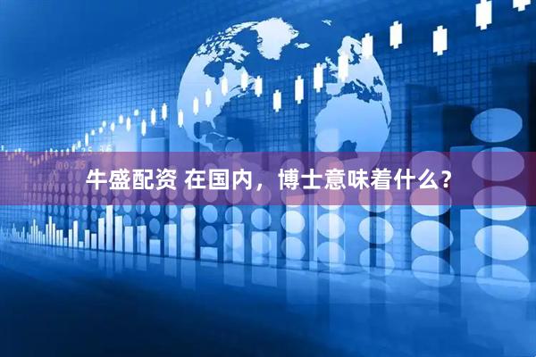 牛盛配资 在国内，博士意味着什么？